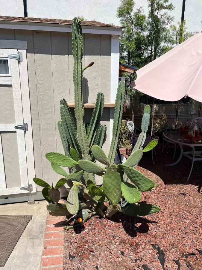 Privatunterkunft Private Angeles - Free Wifi, Ac, Tv, Private Fridge, Kitchen, Near Usc - Exposition Park - Usc Memorial Coliseum - Banc Of California Bmo Stadium - Downtown Angeles Dtla - Of Southern California Usc!!! *